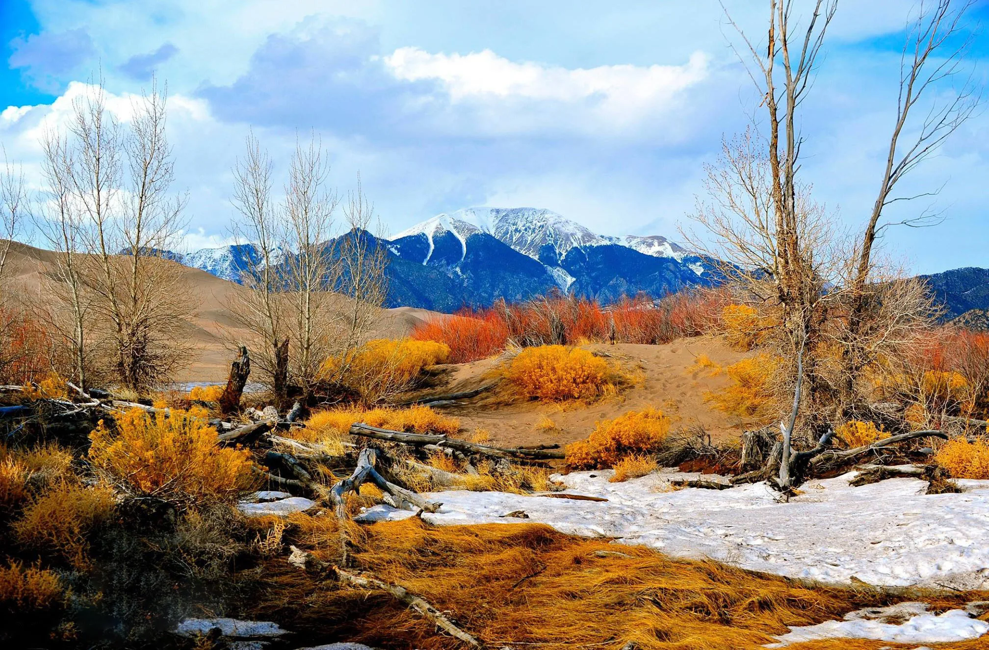 Fall colors at the Great Sand Dune Park